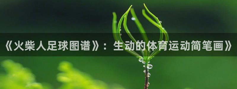 米兰体育官方正版app官网:《火柴人足球图谱》:生动的体育运