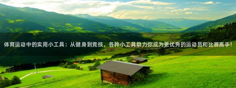 米兰体育官网下载招商电话地址查询:体育运动中的实用小工具:从