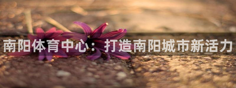 米兰体育官网下载平台注册要钱吗安全吗:南阳体育中心:打造南阳