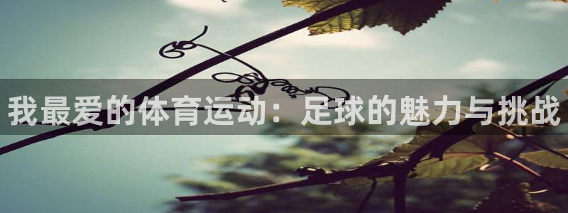 米兰体育官方正版app代理:我最爱的体育运动:足球的魅力与挑